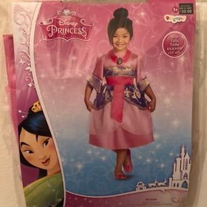Mulan Costume